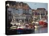 Fishing Fleet in Harbour, Whitby, North Yorkshire, England, United Kingdom, Europe-Waltham Tony-Stretched Canvas