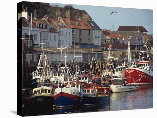 Fishing Fleet in Harbour, Whitby, North Yorkshire, England, United Kingdom, Europe-Waltham Tony-Stretched Canvas