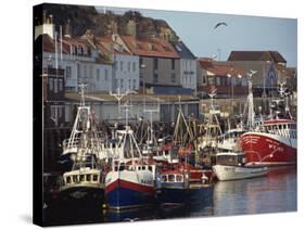 Fishing Fleet in Harbour, Whitby, North Yorkshire, England, United Kingdom, Europe-Waltham Tony-Stretched Canvas