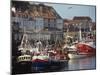 Fishing Fleet in Harbour, Whitby, North Yorkshire, England, United Kingdom, Europe-Waltham Tony-Mounted Photographic Print