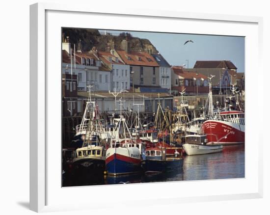 Fishing Fleet in Harbour, Whitby, North Yorkshire, England, United Kingdom, Europe-Waltham Tony-Framed Photographic Print