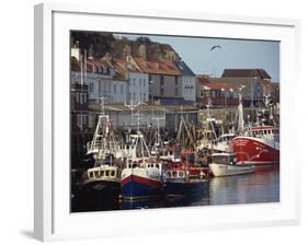 Fishing Fleet in Harbour, Whitby, North Yorkshire, England, United Kingdom, Europe-Waltham Tony-Framed Photographic Print