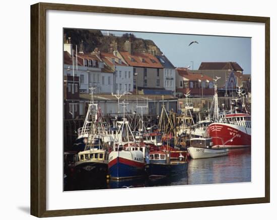 Fishing Fleet in Harbour, Whitby, North Yorkshire, England, United Kingdom, Europe-Waltham Tony-Framed Photographic Print