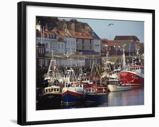 Fishing Fleet in Harbour, Whitby, North Yorkshire, England, United Kingdom, Europe-Waltham Tony-Framed Photographic Print