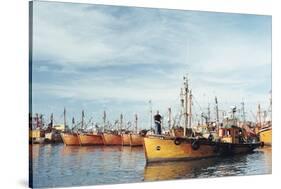 Fishing Fleet in Port, Mar Del Plata, Argentina, South America-Mark Chivers-Stretched Canvas