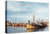 Fishing Fleet in Port, Mar Del Plata, Argentina, South America-Mark Chivers-Stretched Canvas