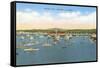 Fishing Fleet, Monterey, California-null-Framed Stretched Canvas