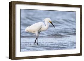 Fishing For Compliments-Wink Gaines-Framed Giclee Print