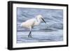 Fishing For Compliments-Wink Gaines-Framed Giclee Print