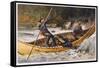 Fishing for Trout in Rapids Canada-Frank Feller-Framed Stretched Canvas