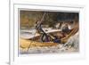 Fishing for Trout in Rapids Canada-Frank Feller-Framed Premium Giclee Print