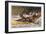 Fishing for Trout in Rapids Canada-Frank Feller-Framed Art Print