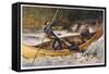 Fishing for Trout in Rapids Canada-Frank Feller-Framed Stretched Canvas