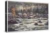 Fishing for Trout in the Snowy River Australia-Percy F.s. Spence-Stretched Canvas