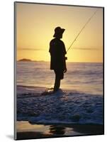 Fishing from the Beach at Sunrise, Australia-D H Webster-Mounted Photographic Print