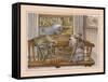 Fishing Gear-Ron Jenkins-Framed Stretched Canvas