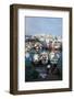 Fishing Harbour and the Medina (Old City), Tangier, Morocco, North Africa, Africa-Bruno Morandi-Framed Photographic Print