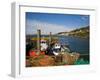 Fishing Harbour at the Pilot Boast Qauy, Cobh, County Cork, Ireland-null-Framed Photographic Print