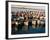 Fishing Harbour, El Jadida, Atlantic Coast, Morocco, North Africa, Africa-Bruno Morandi-Framed Photographic Print