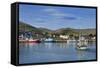 Fishing Harbour in Dingle Town, Dingle Peninsula, County Kerry, Ireland-null-Framed Stretched Canvas