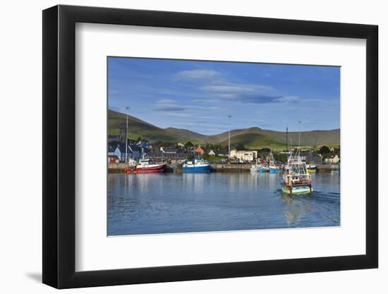 Fishing Harbour in Dingle Town, Dingle Peninsula, County Kerry, Ireland-null-Framed Photographic Print