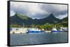 Fishing harbour of Avarua, capital of Rarotonga, Rartonga and the Cook Islands, South Pacific, Paci-Michael Runkel-Framed Stretched Canvas