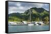 Fishing harbour of Avarua, capital of Rarotonga, Rartonga and the Cook Islands, South Pacific, Paci-Michael Runkel-Framed Stretched Canvas
