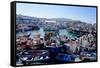Fishing Harbour, Tangier, Morocco, North Africa, Africa-Mick Baines & Maren Reichelt-Framed Stretched Canvas
