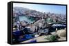 Fishing Harbour, Tangier, Morocco, North Africa, Africa-Mick Baines & Maren Reichelt-Framed Stretched Canvas