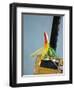 Fishing Hook and Line-David Papazian-Framed Photographic Print