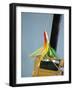 Fishing Hook and Line-David Papazian-Framed Photographic Print