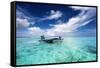 Fishing in a Tropical Lagoon-paulista-Framed Stretched Canvas