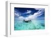 Fishing in a Tropical Lagoon-paulista-Framed Photographic Print