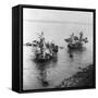 Fishing in Grand Canal in Soo-chow China Photograph - Soo-chow, China-Lantern Press-Framed Stretched Canvas