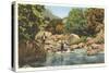 Fishing in Great Smoky Mountains-null-Stretched Canvas