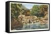 Fishing in Great Smoky Mountains-null-Framed Stretched Canvas