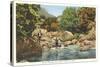 Fishing in Great Smoky Mountains-null-Stretched Canvas