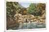 Fishing in Great Smoky Mountains-null-Mounted Premium Giclee Print