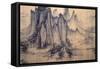 Fishing in Mountain Stream-Hsu Tao-Ning-Framed Stretched Canvas
