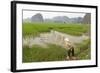 Fishing in the Rice Fields, Tam Coc, Ninh Binh Area, Vietnam, Indochina, Southeast Asia, Asia-Bruno Morandi-Framed Photographic Print