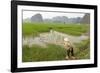 Fishing in the Rice Fields, Tam Coc, Ninh Binh Area, Vietnam, Indochina, Southeast Asia, Asia-Bruno Morandi-Framed Photographic Print