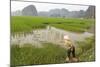 Fishing in the Rice Fields, Tam Coc, Ninh Binh Area, Vietnam, Indochina, Southeast Asia, Asia-Bruno Morandi-Mounted Photographic Print