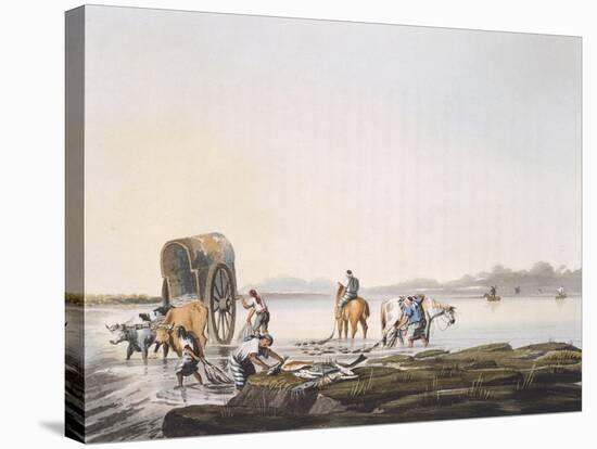 Fishing in the Rio De Le Plata, Argentina 19th Century-null-Stretched Canvas