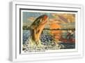 White Frame