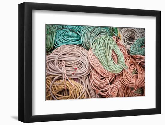 Fishing Lines-Steve Gadomski-Framed Photographic Print