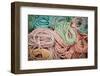 Fishing Lines-Steve Gadomski-Framed Premium Photographic Print