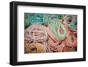 Fishing Lines-Steve Gadomski-Framed Premium Photographic Print