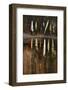 Fishing Lure Hanging on Wall, Sandham, Sweden-BMJ-Framed Photographic Print