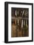 Fishing Lure Hanging on Wall, Sandham, Sweden-BMJ-Framed Photographic Print