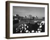 Fishing Nets and Houses at Harbor, Peggy's Cove, Nova Scotia, Canada-Greg Probst-Framed Photographic Print